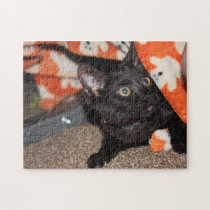 Puzzle Murphy