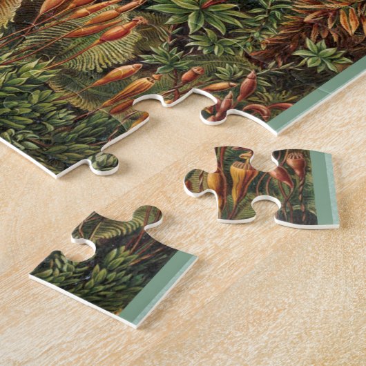 Puzzle Muscinae - Ernst Haeckel 8x10 (Côté)