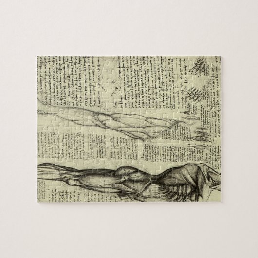 Puzzle Muscles humains anatomiques de Léonard de Vinci (Horizontal)