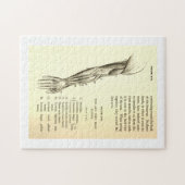 Puzzle Muscles vintages de l'anatomie | du bras (circa (Horizontal)