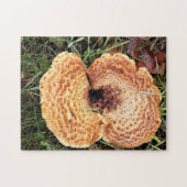 Puzzle Mushroom in the Forest (Horizontal)