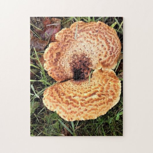 Puzzle Mushroom in the Forest (Vertical)