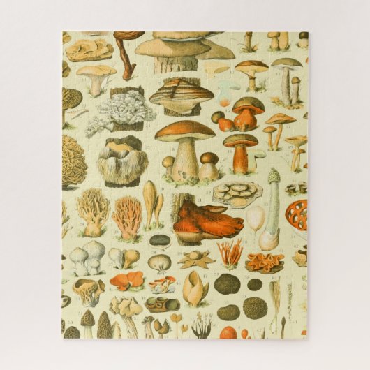 Puzzle Mushroom Vintage Toadstool Antique Illustration (Vertical)