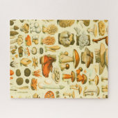 Puzzle Mushroom Vintage Toadstool Antique Illustration (Horizontal)