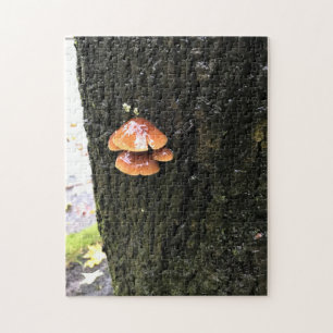 Puzzle Mushrooms on a tree, Oregon