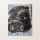 Puzzle Musk Ox with Calf (Vertical)