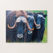 Puzzle Muskox Alaska. (Horizontal)