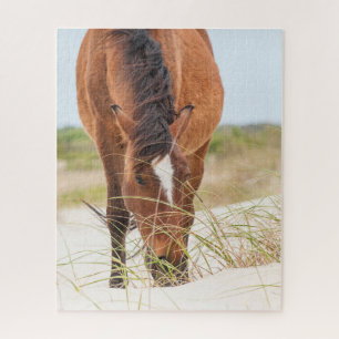 Puzzle Mustangs sauvages ou chevaux Banker