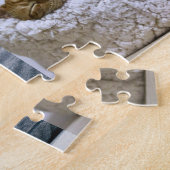 Puzzle My Cat Photo Collage on (Côté)