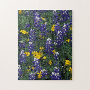 Puzzle N.A, États-Unis, Texas, Marble Falls, Bleus Bonnet