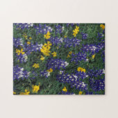 Puzzle N.A., États-Unis, Texas, Marble Falls, Blue Bonnet (Horizontal)