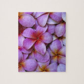 Puzzle N.A., USA, Maui, Hawaï. La Plumeria rose fleurit. (Vertical)