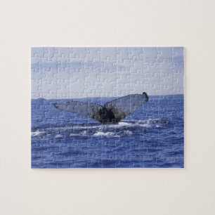 Puzzle NA, Canada, Terre-Neuve, baie de Trinity. Bossu
