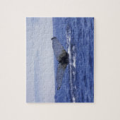 Puzzle NA, Canada, Terre-Neuve, baie de Trinity. Bossu (Vertical)