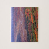 Puzzle NA, États-Unis, Alaska, Denali NP, Vue de McKinley (Vertical)