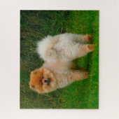 Puzzle Nain Spitz Poméranien Chien. (Vertical)