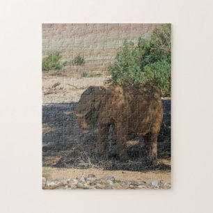 Puzzle Namibie Afrique Huab River Elephant Damaraland