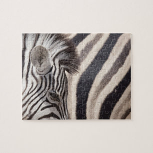 Puzzle Namibie, Parc national d'Etosha. Détails de deux