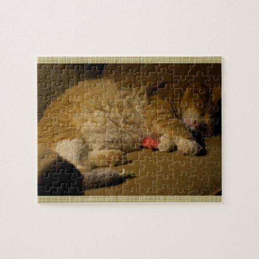 Puzzle Nap de chat (Horizontal)