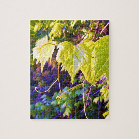 Puzzle Napa Valley (Vertical)