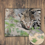 Puzzle Napping Ocelot<br><div class="desc">Un Ocelot nagera derrière les buissons par un matin de mars cool. Des taches et des rayures recouvrent sa fourrure tendre, offrant du camouflage à la lumière du soleil applaudi. Ses oreilles sont alertes, il cherche tout bruit qui pourrait signaler une proie potentielle ou une menace. Ses yeux sont fixés...</div>