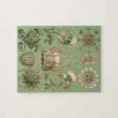 Puzzle Narcomedusae d'Ernst Haeckel (Horizontal)