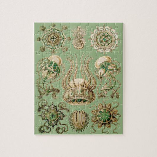 Puzzle Narcomedusae d'Ernst Haeckel (Vertical)