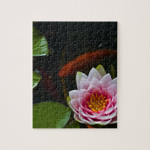 Puzzle natation de koi autour de lotus