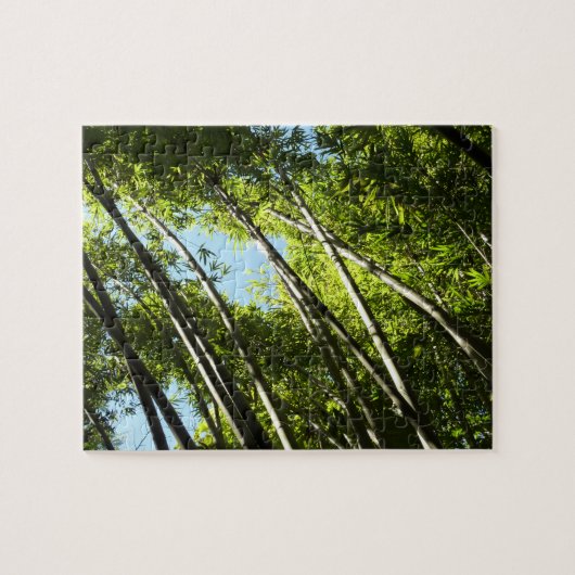 Puzzle Nature botanique bambou (Horizontal)