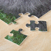 Puzzle Nature du Raccoon de la Forêt (Côté)