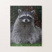 Puzzle Nature du Raccoon de la Forêt (Vertical)