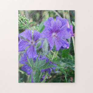 Puzzle nature, fleur, été, violet, floraison, floral,