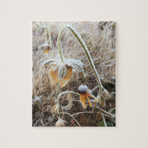 Puzzle Nature Touché Rudbeckia Revêtu Dans Le Frost Du Ma