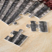 Puzzle Nautilus et coques (Côté)