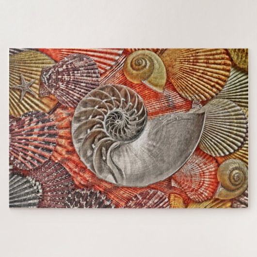 Puzzle Nautilus et coques (Horizontal)