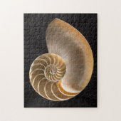 Puzzle Nautilus Seashell (Vertical)