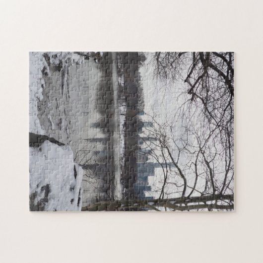 Puzzle Neige d'hiver à Central Park New York City NYC (Horizontal)