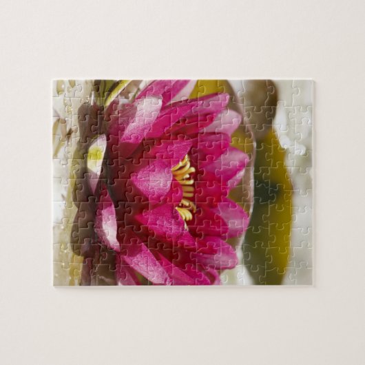 Puzzle Nénuphar (Horizontal)