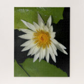 Puzzle Nénuphar blanc (Vertical)
