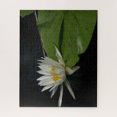 Puzzle Nénuphar blanc (Vertical)