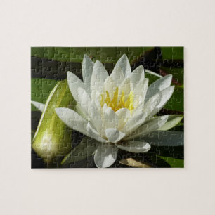 Puzzle Nénuphar blanc et bud Floral