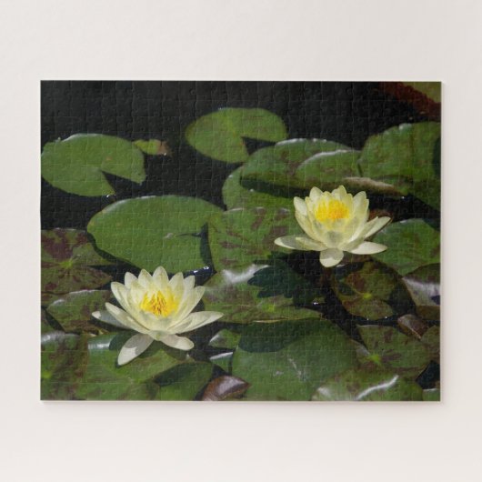 Puzzle Nénuphar Jaune (Horizontal)