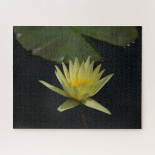 Puzzle Nénuphar Jaune