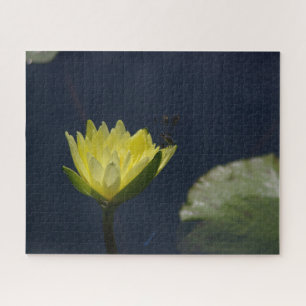 Puzzle Nénuphar jaune