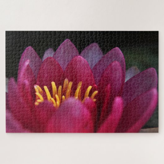 Puzzle Nénuphar rose (Horizontal)