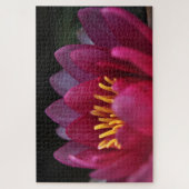 Puzzle Nénuphar rose (Vertical)