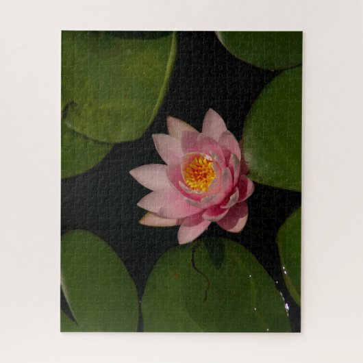 Puzzle Nénuphar rose (Vertical)