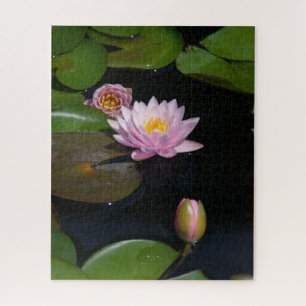 Puzzle Nénuphar rose