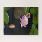 Puzzle Nénuphar rose (Horizontal)