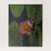 Puzzle Nénuphar rose (Vertical)